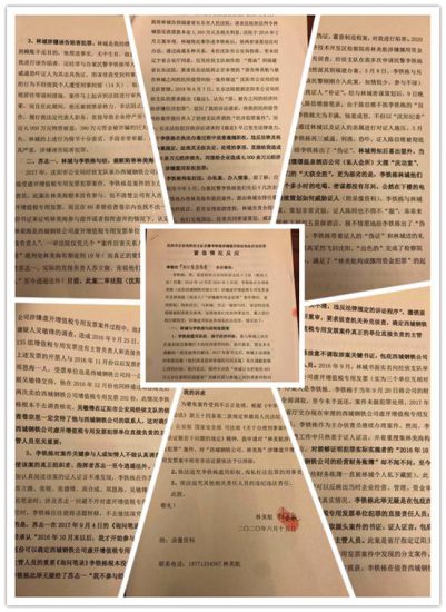 辽宁沈阳: 一优质企业被”恶意”整垮,投资商人成囚徒