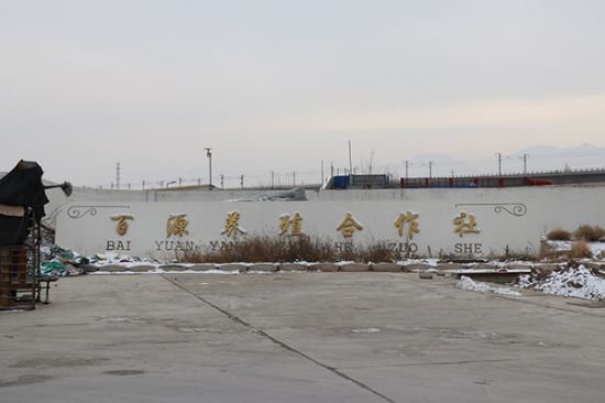 酒泉肃州区:牛羊交易乱象何时休?