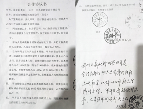 江蘇新沂：一鄉鎮「強拆」花木基地，補償不能沒說法！