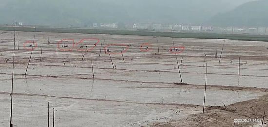 台州三门:讨要工程款的村民被刑拘 非法采砂的村主任“毫发无伤“