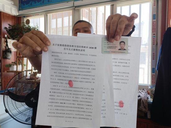 青島即墨區4年前違法毀林被立案移交後杳無音信