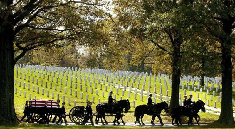 美國陸軍將終止禮儀馬匹使用 發言人:會將馬送去領養