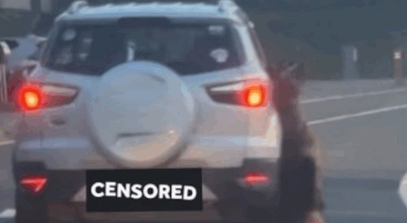 開車當街拖行牧羊犬致死! 惡飼主家遭縱火噴漆報復