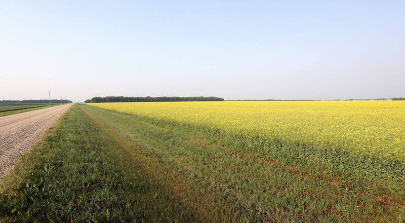加拿大驚傳小飛機「空中相撞」!2名飛行學員罹難