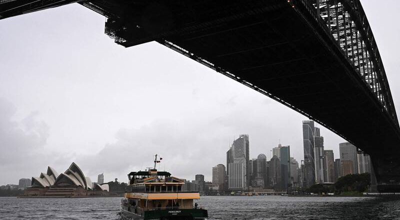 「巨型客人」現身雪梨港觀光! 海事單位忙翻天