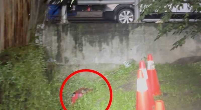 新庄男尸弃尸行李箱遭位移 里民:上周就已丢在水沟内