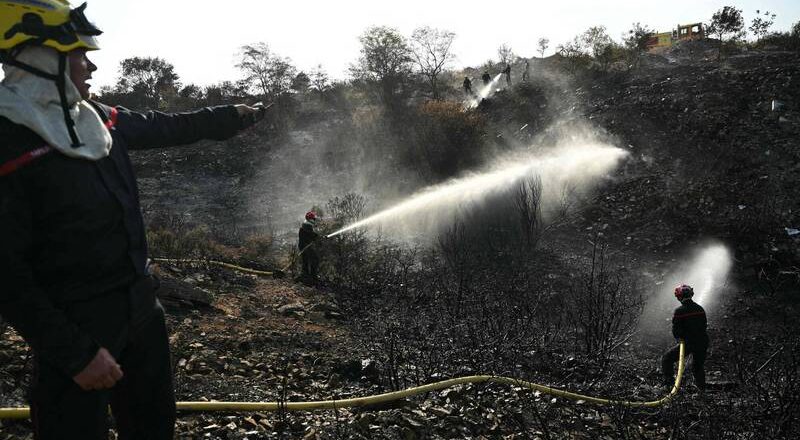 法国明天「最热的一天」 南部野火酿1死 热浪增加扑灭难度