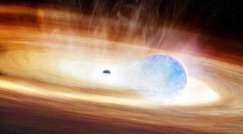 恆星吞噬黑洞不成陷「致命探戈」 AI助揭新型超新星爆炸