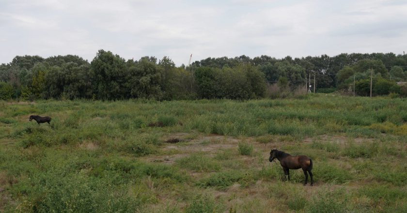 無人機侵入羅馬尼亞空域 戰機緊急升空因應